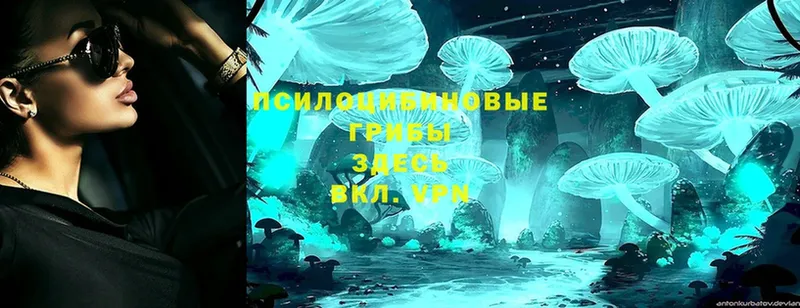 Галлюциногенные грибы Magic Shrooms  Каргополь 